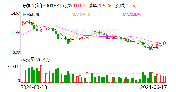 东湖高新：6月17日召开董事会会议  第1张