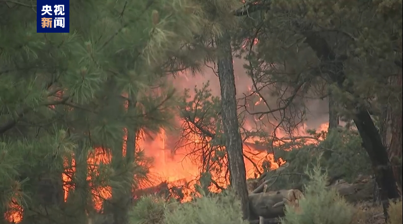 美国新墨西哥州林火持续燃烧5天仍未受控  第2张