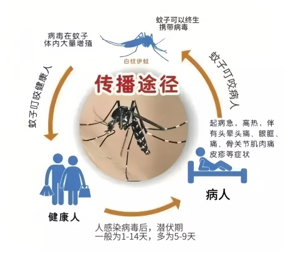 最新“蚊子地图”发布，涉及广州22个镇街  第2张