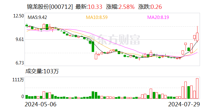 锦龙股份底价22.72亿卖“子”回血，东莞证券将迎控股股东？东莞国资拟接盘  第1张