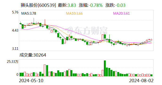 狮头股份：收到山西证监局行政监管措施决定书  第1张