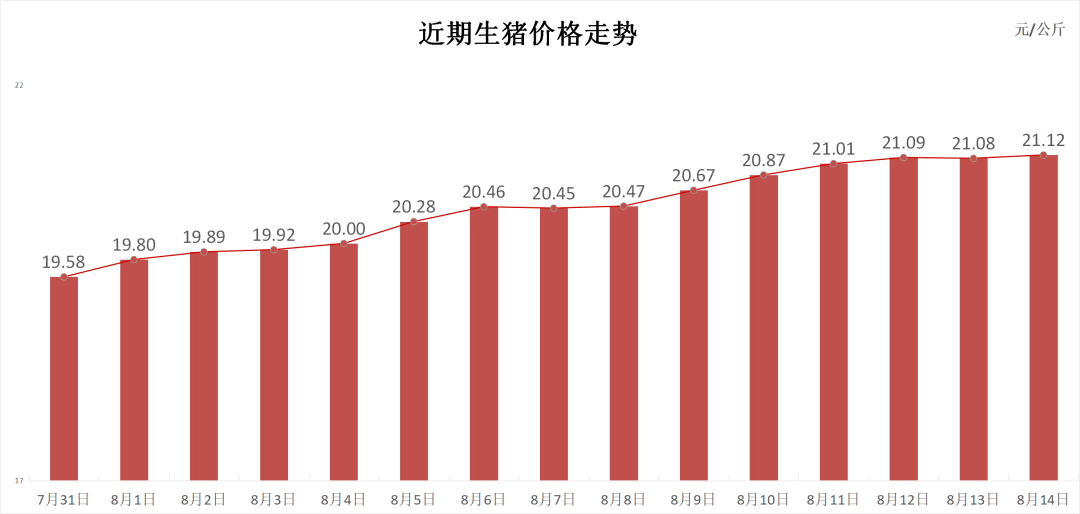 每日猪讯8.14