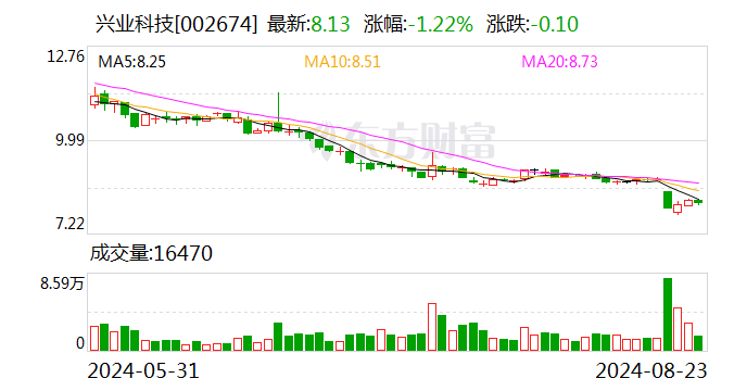 兴业科技宣布进入阿迪达斯供应链体系  第1张